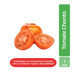 Tomate Chonto